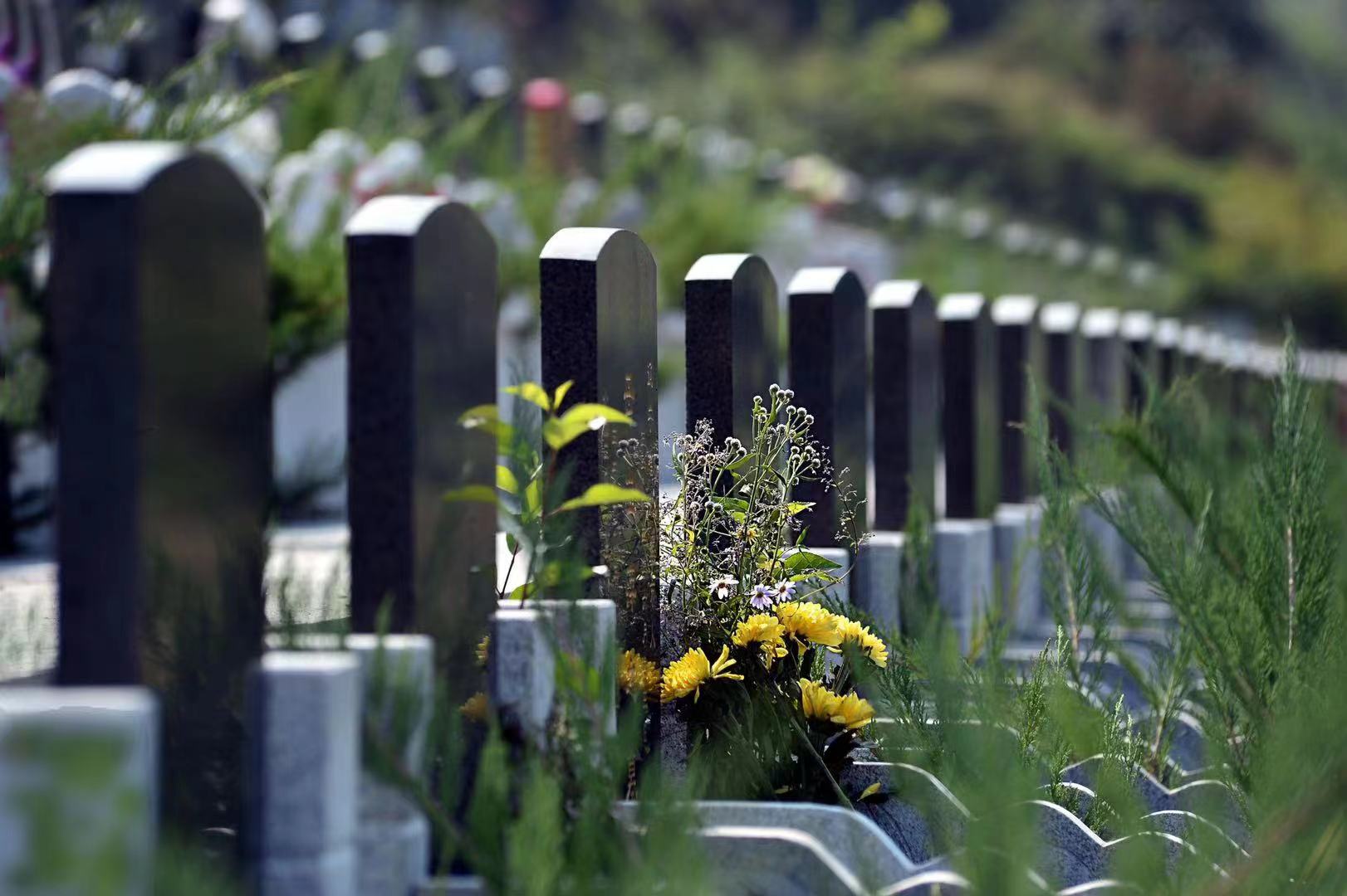 ԰������