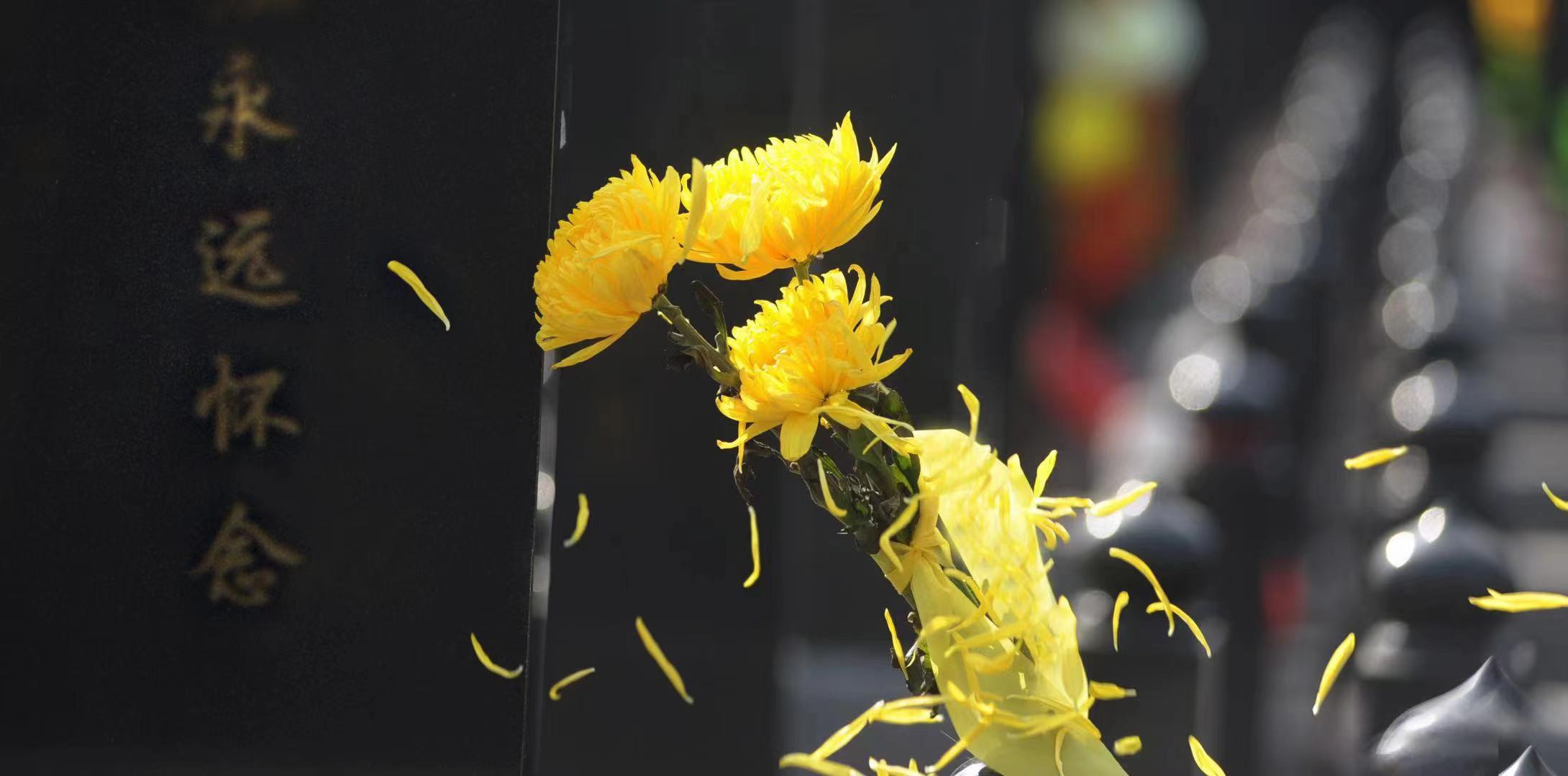 ԰������